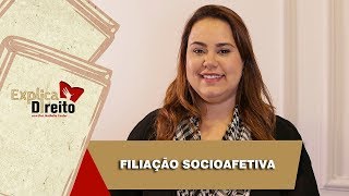 Explica Direito Filiação Socioafetiva  2019 [upl. by Inimod]